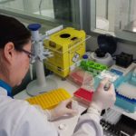 Procedimento de extração de DNA