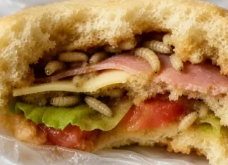 LANCHE COM LARVAS||| Justiça condena supermercado após cliente consumir sanduíche contaminado com larvas em Arapiraca