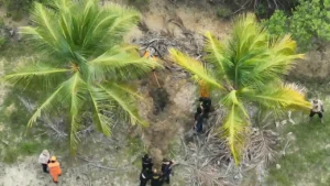 Operação encontra dois corpos em suposto cemitério clandestino em Coruripe