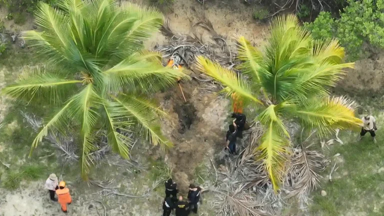 Operação encontra dois corpos em suposto cemitério clandestino em Coruripe