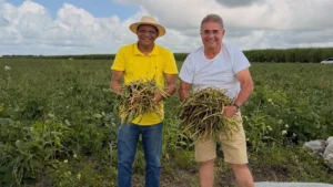 Projeto Comida na Mesa impulsiona agricultura familiar e amplia produção rural em São Miguel dos Campos
