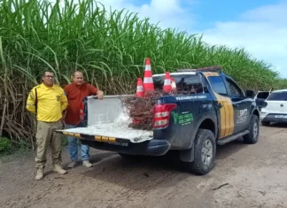 COBRE||| Fiação supostamente furtada da Praça de Eventos é encontrada queimada em São Miguel dos Campos