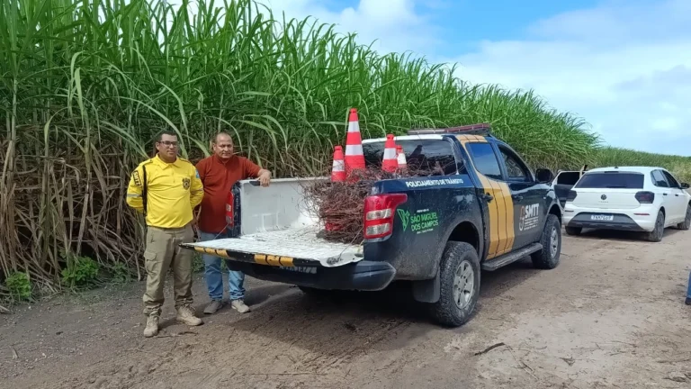 Fiação supostamente furtada da Praça de Eventos é encontrada queimada em São Miguel dos Campos