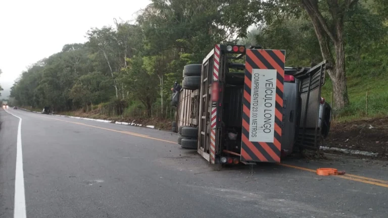 Carreta-cegonha com 11 veículos tomba na BR-316 e provoca congestionamento em Alagoas